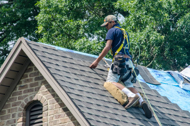 Best Roof Leak Repair  in Honolulu, HI